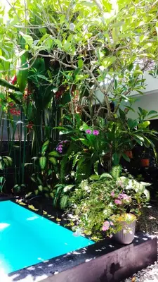 a garden with a swimming pool and some plants at The Pavilion Hotel Kuta in Kuta