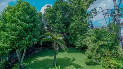 a garden with trees and a palm tree at Villa Indalia in Seminyak