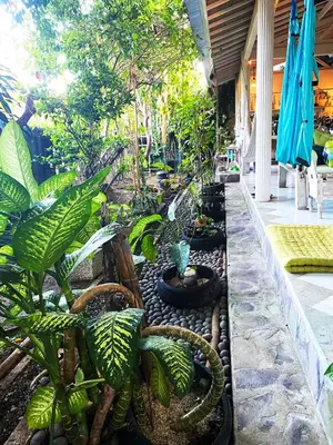 a garden with lots of plants in a building at Shady Grove Healing Centre & Homestay w house rules please read before booking in Sanur