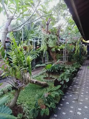 a garden of plants and trees in a building at Buratwangi Tropis House in Kerobokan