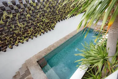 a swimming pool next to a white wall with plants at The Drupadi Apartments Studio Peka in Seminyak