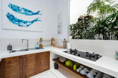 a kitchen with a sink and some plants at Villa Celine 2 chambres piscine Seminyak BALI in Seminyak