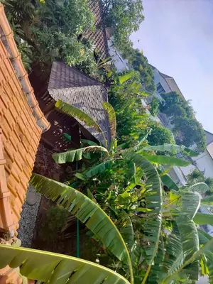 a building with plants on the side of it at Villa Layang Bulan a homey guesthouse for men near the beach in North Kuta in Denpasar