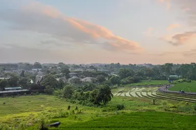 a view of a green field with a road at The Revery Bali in Canggu