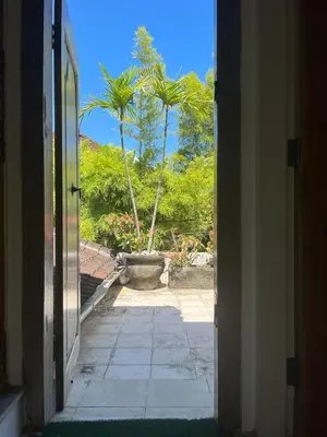 an open door leading to a yard with palm trees at Balinese Luxury in The Centre of Seminyak in Legian