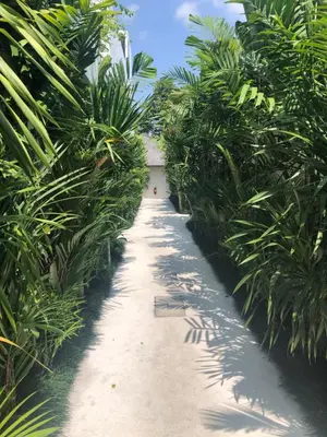a path through a bunch of palm trees at Two-Bedroom Pool Villa at Anwa Residences in Canggu