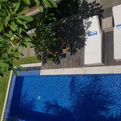 a blue swimming pool with a wooden fence and a tree at Villa Dharmatria in Nusa Dua