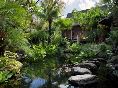 a garden with a pond with rocks and palm trees at Dea Villas in Canggu