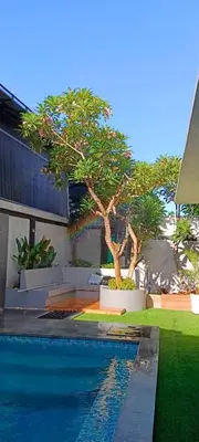 Gallery image of Casa Raya in Kuta