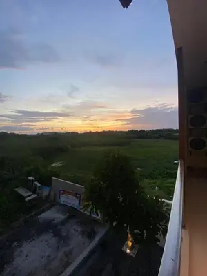 a view of a sunset from a building with a tree at SONGOKU HOUSE APARTMEN in Pesanggaran