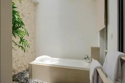 a bathroom with a bath tub and a plant at Anakula 1 - Modern 2 BR Villa, Seminyak in Seminyak