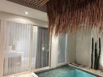 a swimming pool with a cactus in a room at Sofira Villa 2 bedroom in Nusa Dua