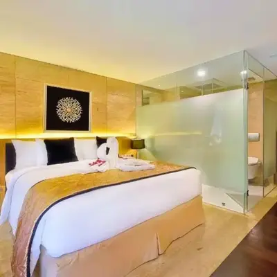 Antariksha 1 BR Superior Room
