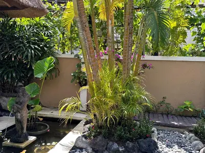 a garden with palm trees and a pond at Villa Petra Seminyak Bali in Seminyak