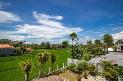 a yard with palm trees and a green field at Sunterra Villa with Ricefield View in Canggu in Kerobokan
