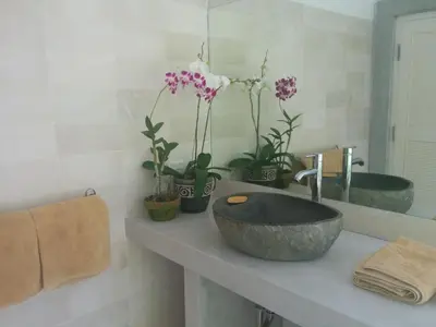 a bathroom with a sink with potted plants on a counter at Villa Viona 4 in Seminyak