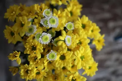 a bunch of yellow flowers in a vase at 3 Bedrooms Luxury Umalas with private pool in Kerobokan