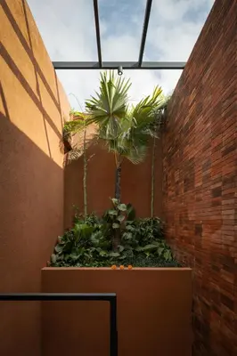 a courtyard with a palm tree in a brick wall at Kula Terra One Bedroom Villa in Kerobokan