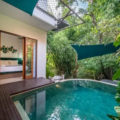 Magic River Villa Rice field view