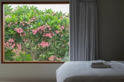 a bedroom with a window with a tree with pink flowers at Terrace Mumbul in Nusa Dua