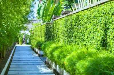 a garden path with a green wall and plants at Liam 1 BR Bamboo Private Pool Villa JU63 in Seminyak
