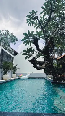 a swimming pool with a tree next to a building at Nawa Villa private pool 3bedrooms in Seminyak