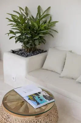 a living room with a white couch and a table at Casa De La Vida in Legian