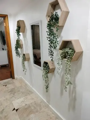 a wall with three mirrors and plants on it at Jayakarta Bali Apartment 6417 in Seminyak