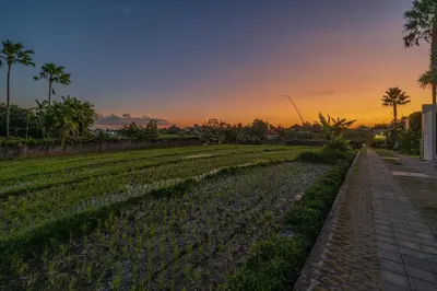 a field with a sunset in the background at Casa Vera - Delightful 1-Bedroom Villas in the Heart of Umalas in Canggu