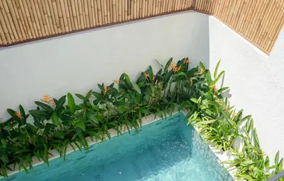 a planter with plants on the side of a wall at Shanti Villa - 3BR Luxury in Seminyak in Badung
