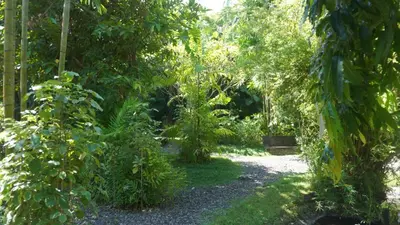 a path through a garden with trees and plants at Poppies Cottages on Two in Legian