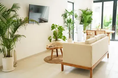 a living room with a couch and potted plants at Berawa 2BR Private Pool Leon Villa by Bali Bliss Properties in Canggu