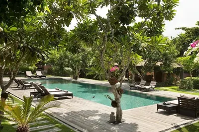 a swimming pool with chaise lounges and a tree at Villa MAMOUNE in Canggu