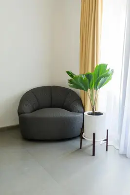 a couch in a room with a potted plant at Baliterraneo Boutique Resort Seminyak in Seminyak