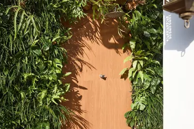 a wooden fence with green plants on it at Fale Seminyak - Brand New Modern Luxury 5BR Villa in Seminyak with Private Pool, Gym & Massage Room in Seminyak