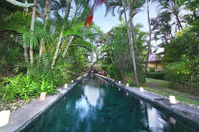 a swimming pool in a garden with palm trees at Large Private Villa, central Seminyak, Bali in Seminyak
