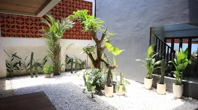 a group of potted plants in front of a building at Beta Stay and Surf in Canggu