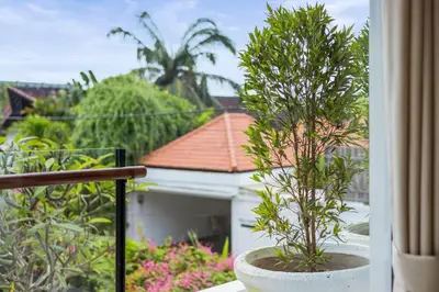 a plant in a pot sitting on a balcony at New 3 BR Luxury Villa in Umalas in Canggu