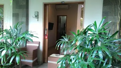 a front door of a house with two plants at Kubu Carik in Legian