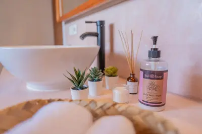 a bathroom sink with a bottle of soap and plants at 5BR Private Pool Villa - 1 min Beach - Daily Staff, Private Pool, Gym & Games in Canggu