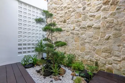 a small pine tree in front of a stone wall at 2BR Modern Suites near Airport in Pesanggaran