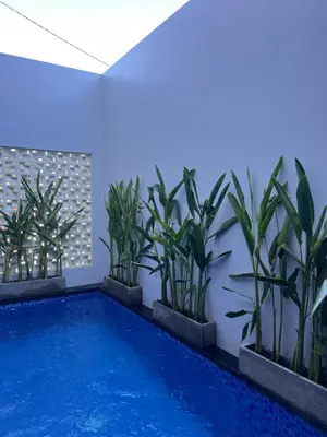 a swimming pool in a room with plants at Modern 3BR Villa with Private Pool & Rooftop in Nusa Dua in Nusa Dua