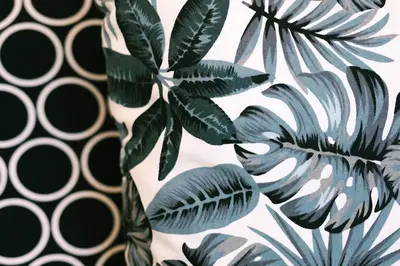 a plant with green leaves next to a wall at Abby May - Top location near Potato Head, walk everywhere! in Seminyak