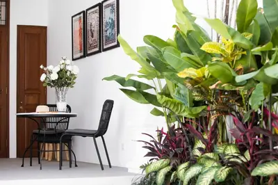 a table and chairs in a room with plants at Saro - Top location near Potato Head, walk everywhere! in Seminyak