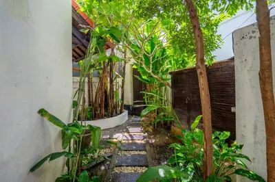 a garden with a walkway with trees and plants at 2BR Villa walking distance to Finns & Atlas in Canggu