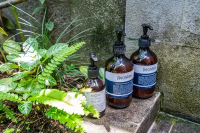 three bottles sitting on a ledge next to a plant at Tropical 2BR Villa with Private Pool in Canggu in Canggu