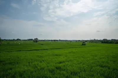 a large field of green grass with a sky at Modern tropical House Villa in Seminyak