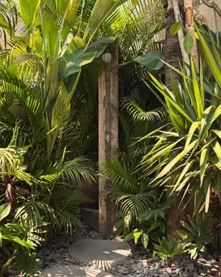 a garden with palm trees and a stone wall at Villa Allany - Modern 2BR Tropical Hideaway Private Pool in Seminyak
