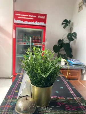 a potted plant sitting on top of a table in front of a refrigerator at RBE Hotel Kuta- 5 Min to Airport&Beach by Micky Studio in Ngurah Rai International Airport