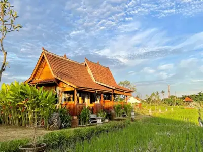 a house with a wooden roof in a field at Uma Padi Cabin Umalas Bali in Kerobokan